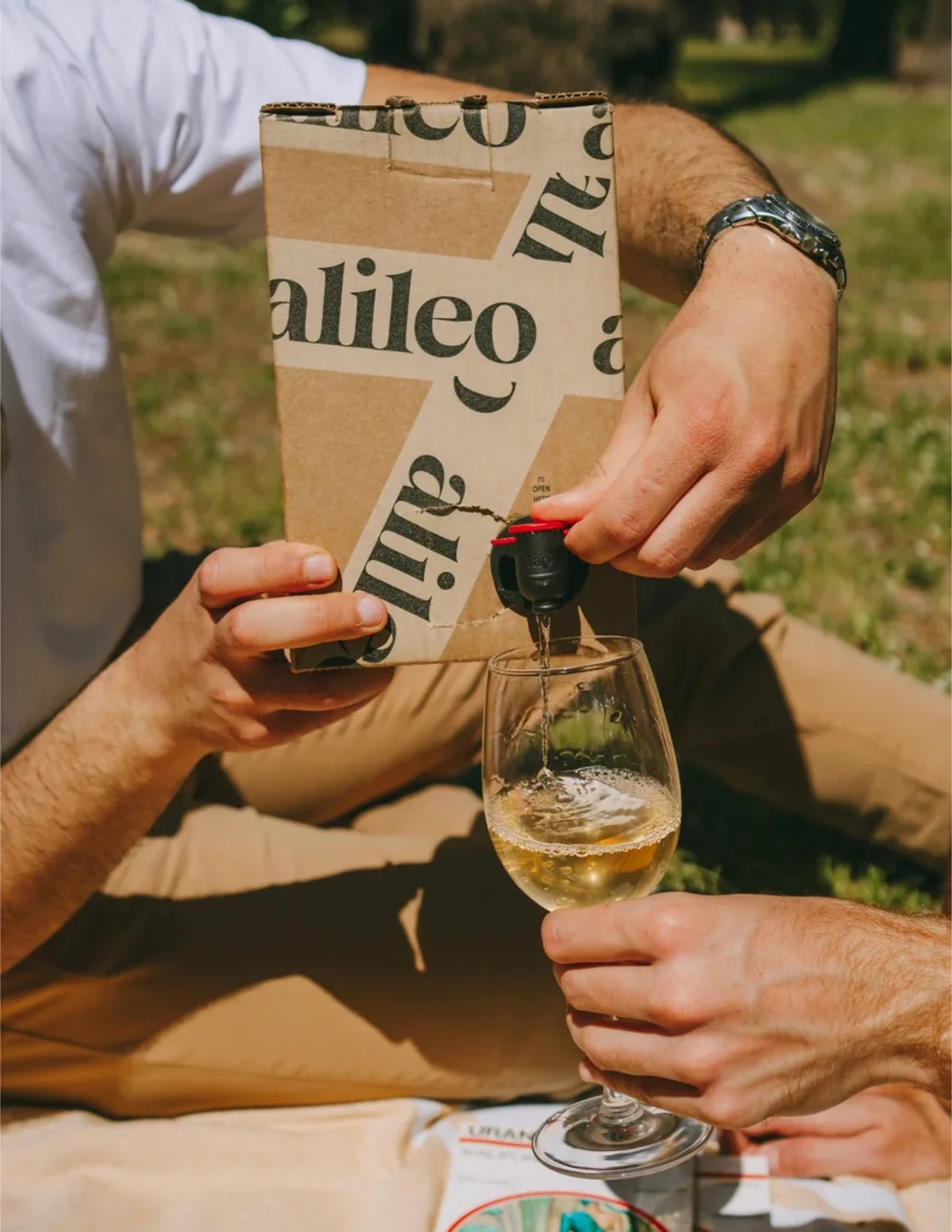NV Alileo Wines "Young Bianco", Sicily, Italy 1.5L BOX