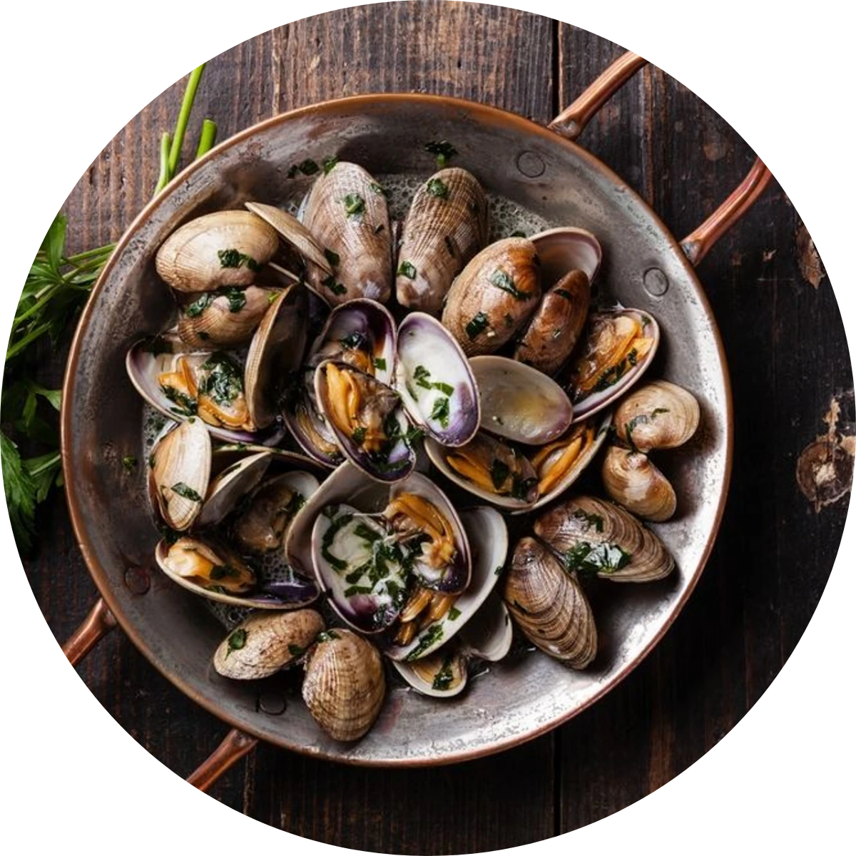 Shellfish